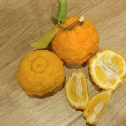 Vadukapuli Achar | Wild Lemon Pickle